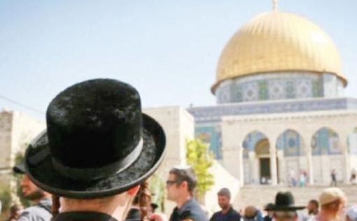 Полиция, Иордания и ХАМАС в шоке от решения суда по Храмовой горе