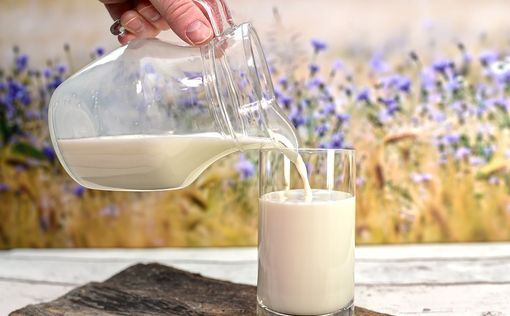 Цены на молочные продукты в Израиле вновь выросли: актуальные данные