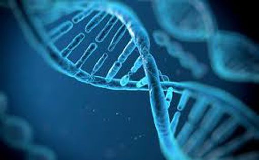 Израильские ученые совершили прорыв в устранении мутаций в ДНК