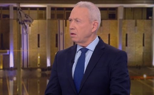 Жена Гидеона Саара: "Анти-Биби" - эффективнее Железного Купола
