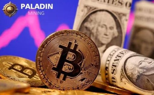 Bitcoin Insights, получайте $10 000 легко каждый день