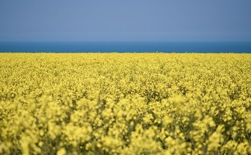 Эксперт: План Трампа по украинским ресурсам может привести к истощению страны