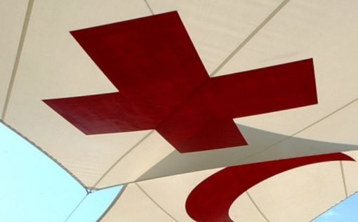 В Газе заявили, что прошлой ночью погибло 50 человек, включая детей
