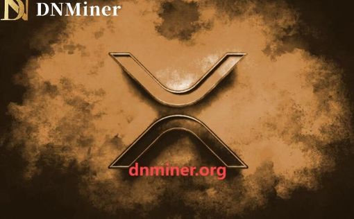 Как инвесторы зарабатывают с DNMiner на XRP и DOGE каждый день