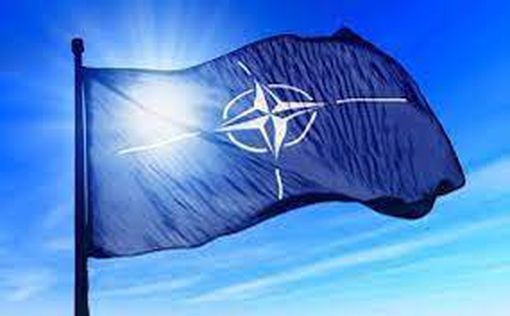 СМИ: НАТО не выживет без США