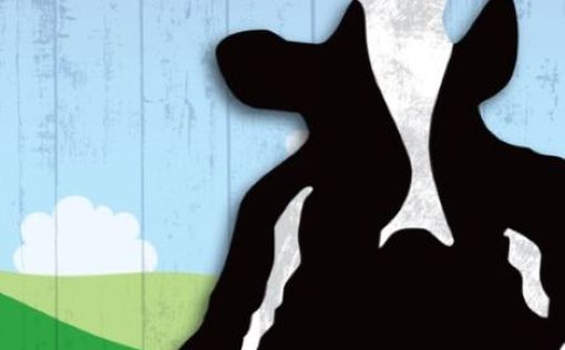 Ben & Jerry's может попрощаться с "левой повесткой"