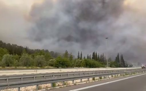 Полиция: по подозрению в поджогах арестованы 3 человека