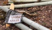 Фото снарядов, которые оставили после себя россияне в лесах Киевской области | Фото 1