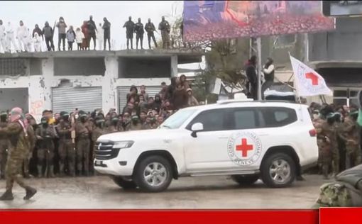 Красный Крест уже в Рафиахе