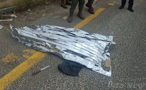 Недалеко от перекрестка Гити Авишер ликвидирована вооруженная ножом террористка