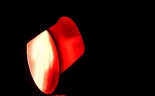 Судья заявила, что шофер Бен-Гвира имел право проехать на красный свет | Фото: FREEPIK