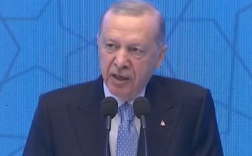 Израиль: При Эрдогане “нет закона, нет свободы”